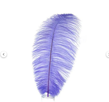 17"-19" Ostrich Feather Drabs 25pc
