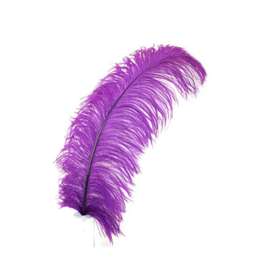 Feathers