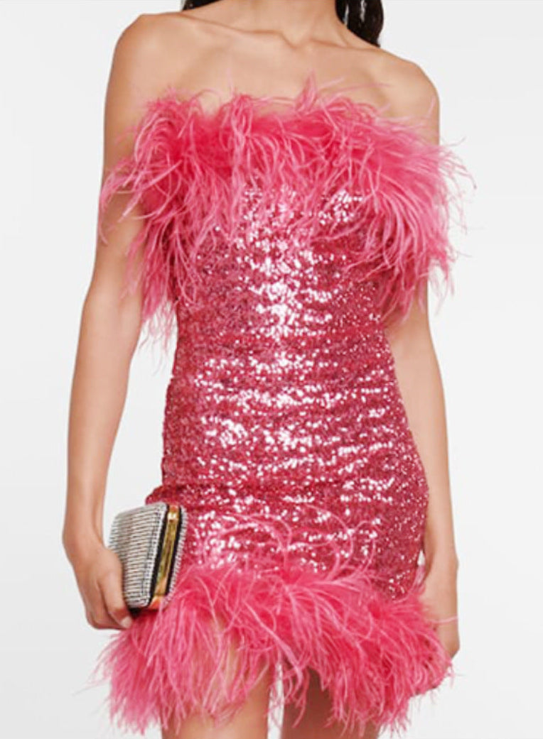 Rose Red Short Sequin & Feather Trim Dress