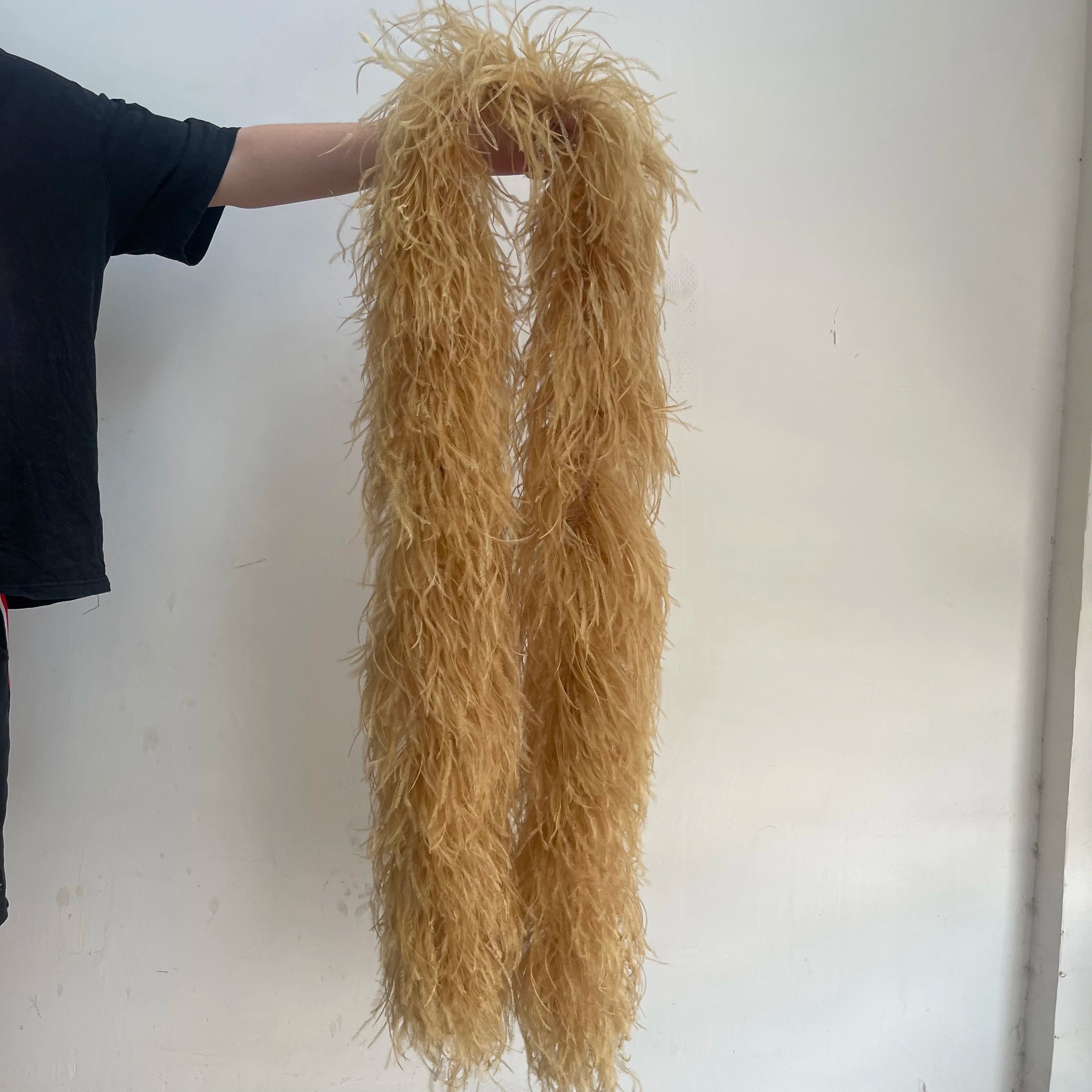 2M 1-20ply Fluffy Ostrich Feather Boa