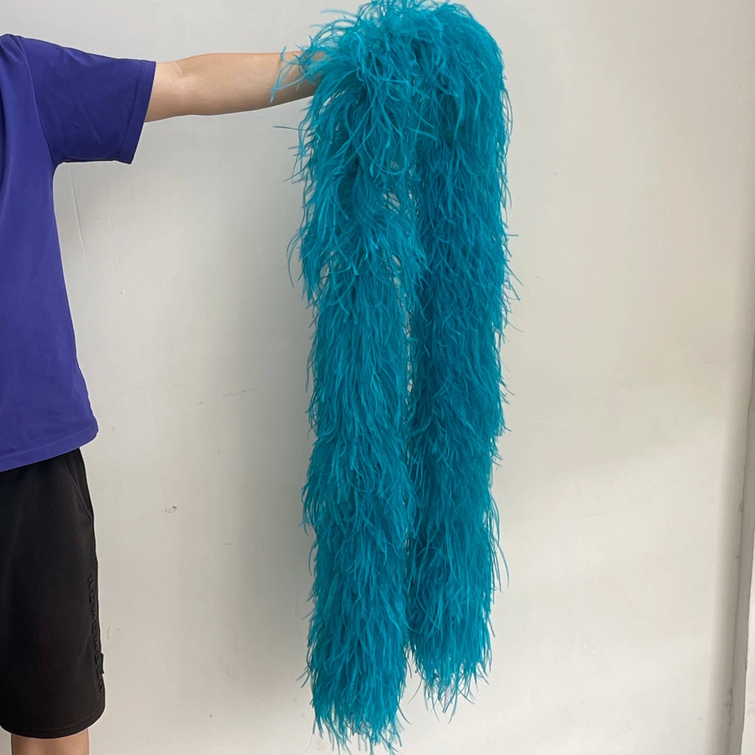 2M 1-20ply Fluffy Ostrich Feather Boa