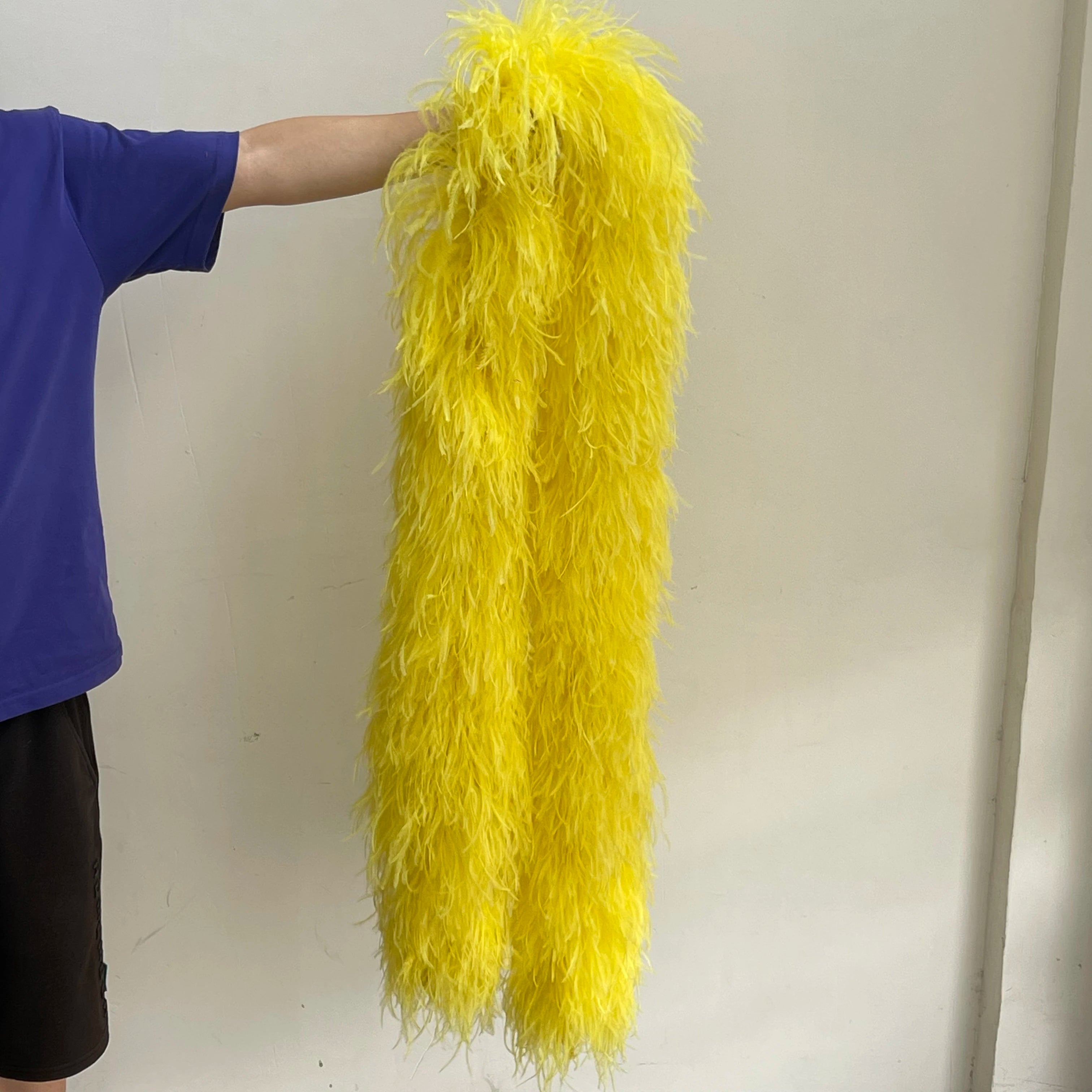 2M 1-20ply Fluffy Ostrich Feather Boa