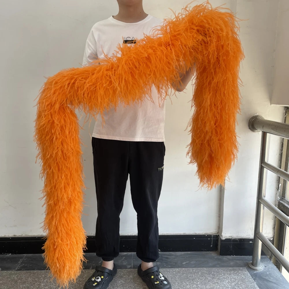 2M 1-20ply Fluffy Ostrich Feather Boa
