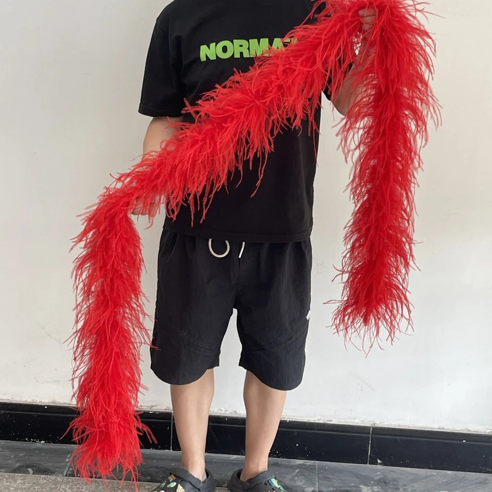 2M 1-20ply Fluffy Ostrich Feather Boa
