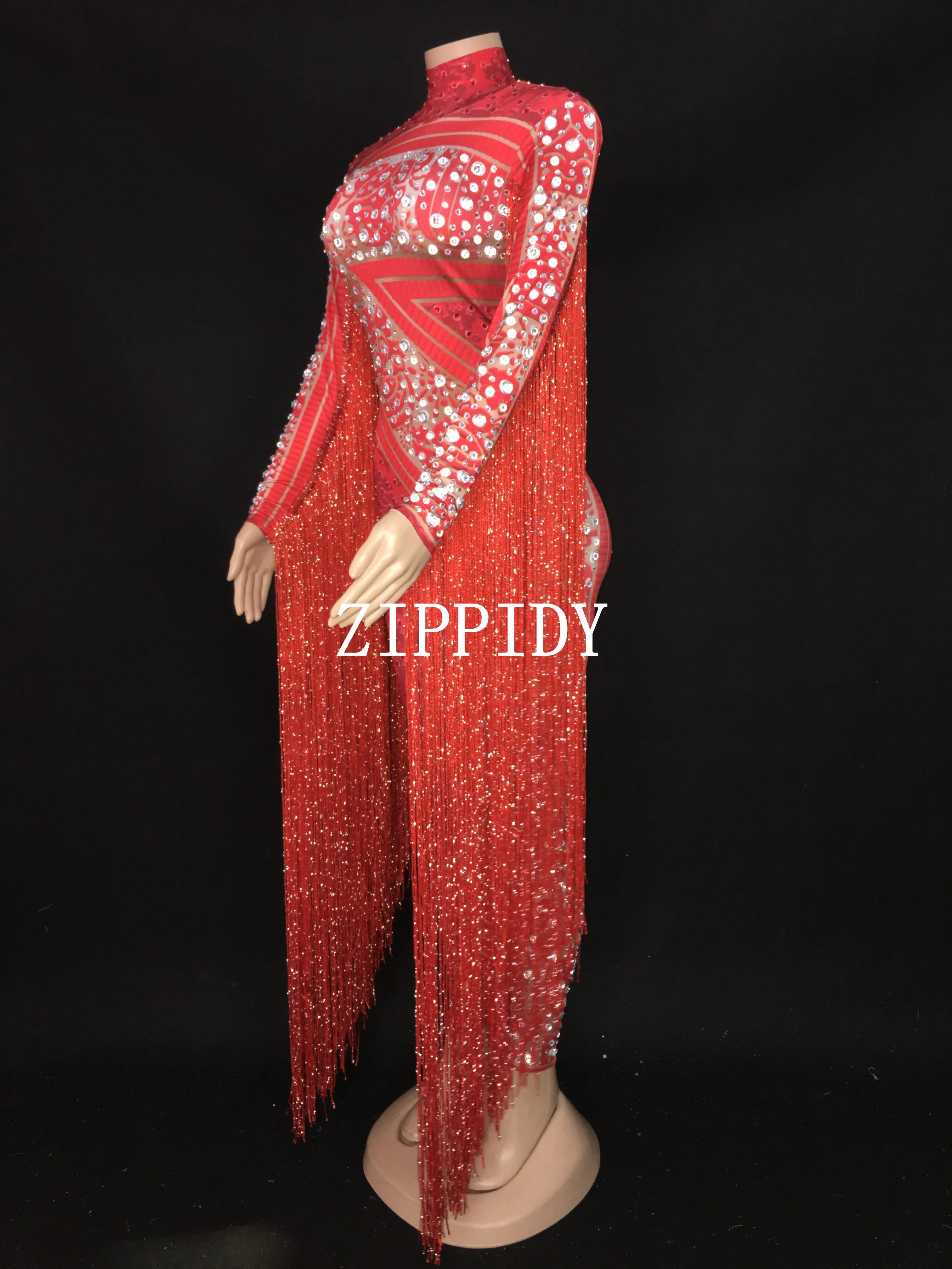 Silver Red Rhinestone Fringe Jumpsuit Stage Performance Outfit Dancer Catsuit