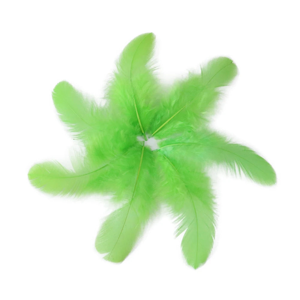 Natural Rooster Craft Feathers Bulk Lot