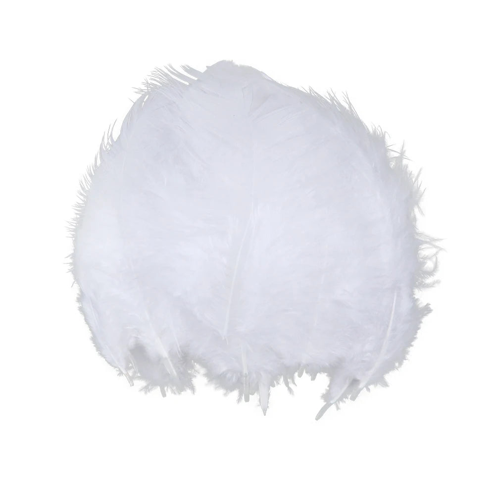 Natural Rooster Craft Feathers Bulk Lot