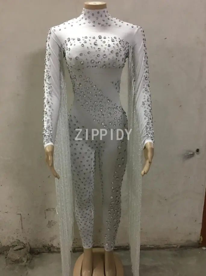 Silver Red Rhinestone Fringe Jumpsuit Stage Performance Outfit Dancer Catsuit