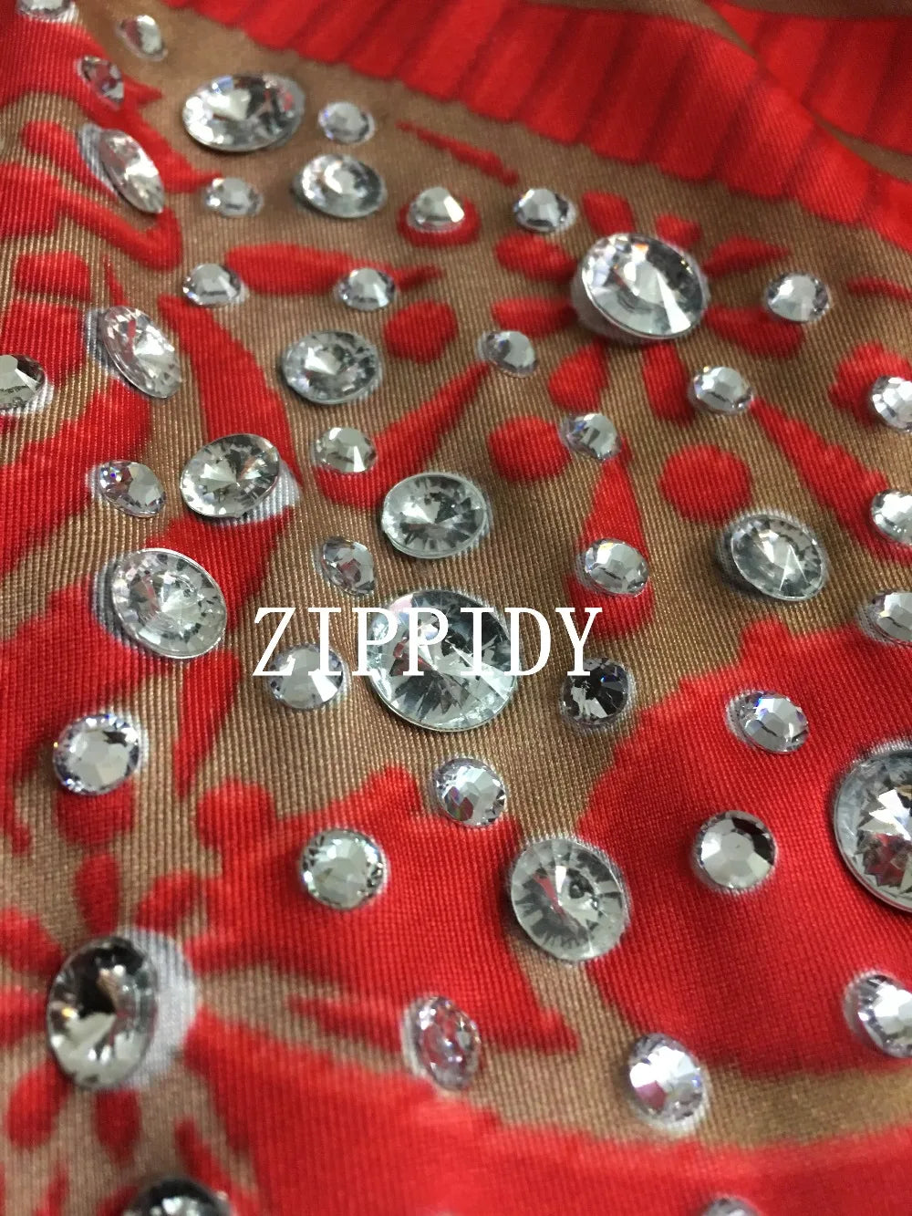 Silver Red Rhinestone Fringe Jumpsuit Stage Performance Outfit Dancer Catsuit