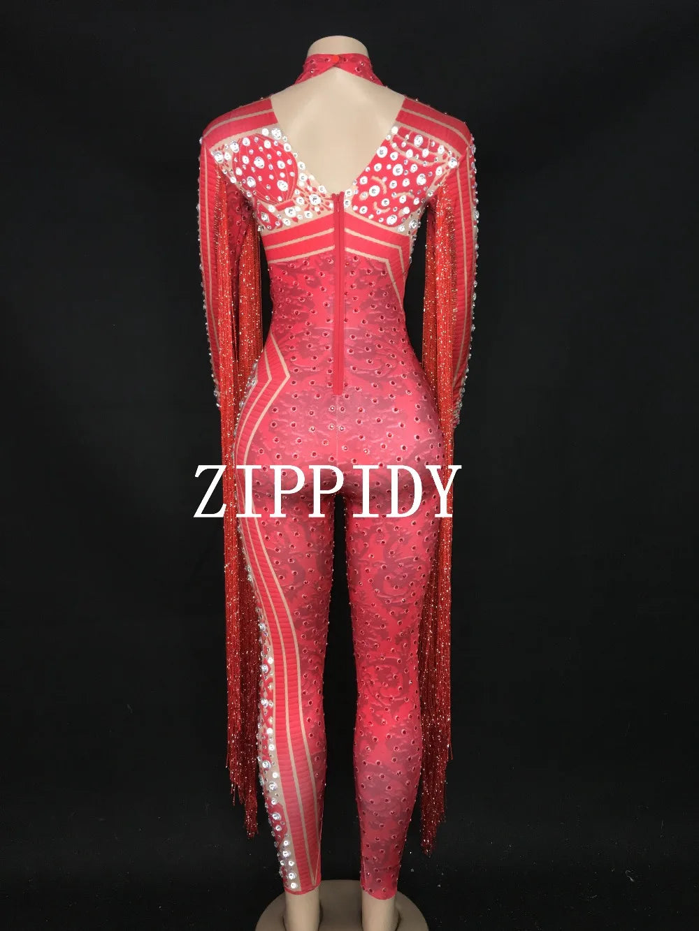 Silver Red Rhinestone Fringe Jumpsuit Stage Performance Outfit Dancer Catsuit