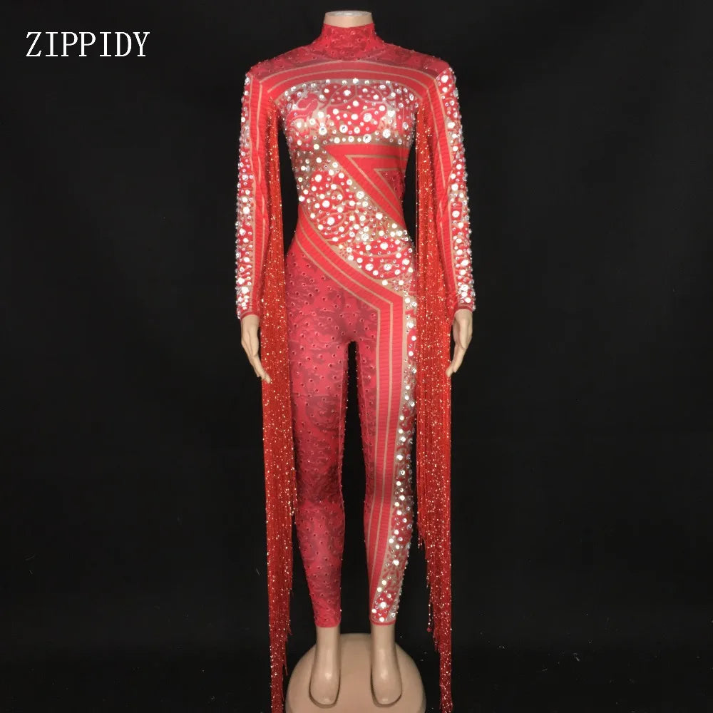 Silver Red Rhinestone Fringe Jumpsuit Stage Performance Outfit Dancer Catsuit