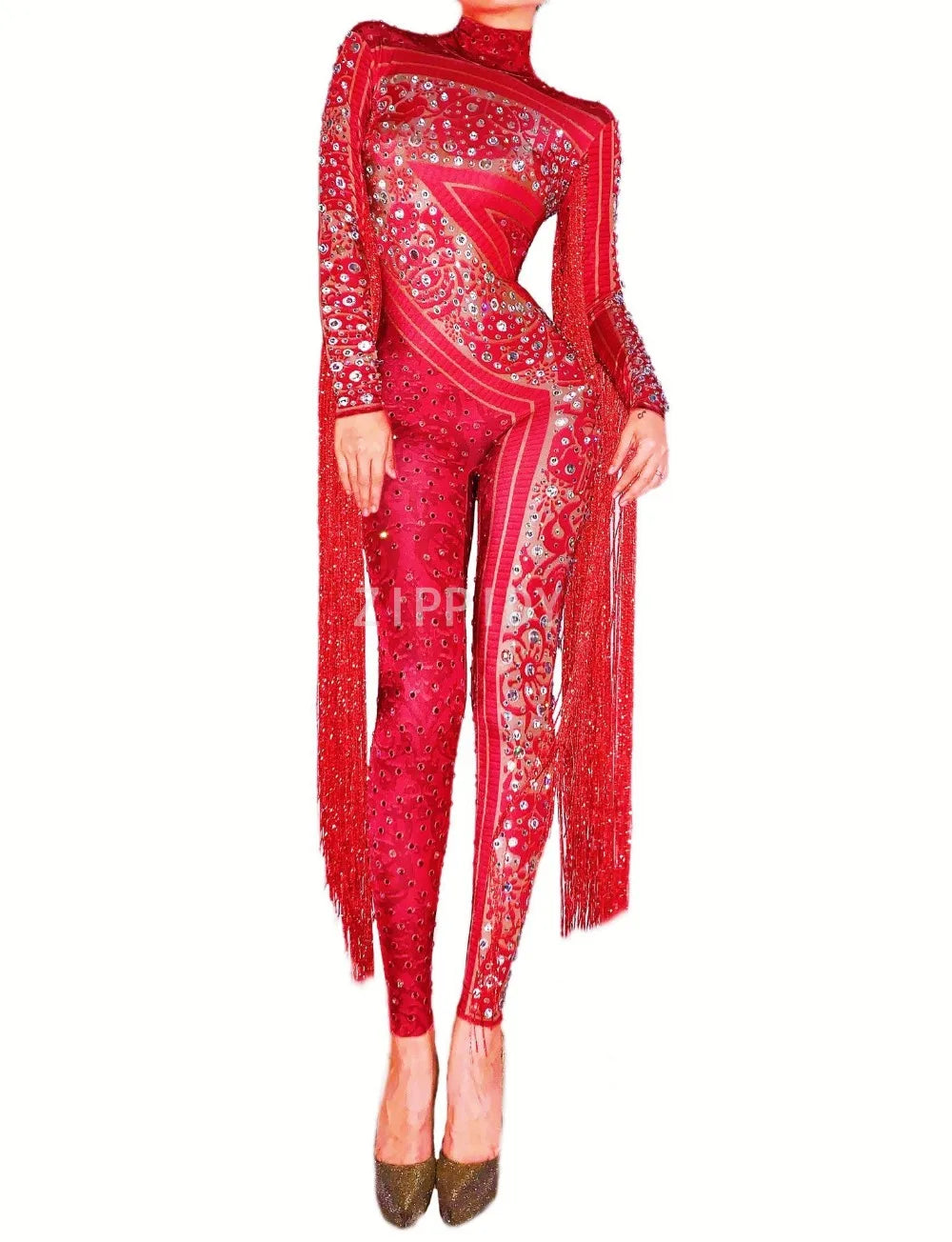 Silver Red Rhinestone Fringe Jumpsuit Stage Performance Outfit Dancer Catsuit