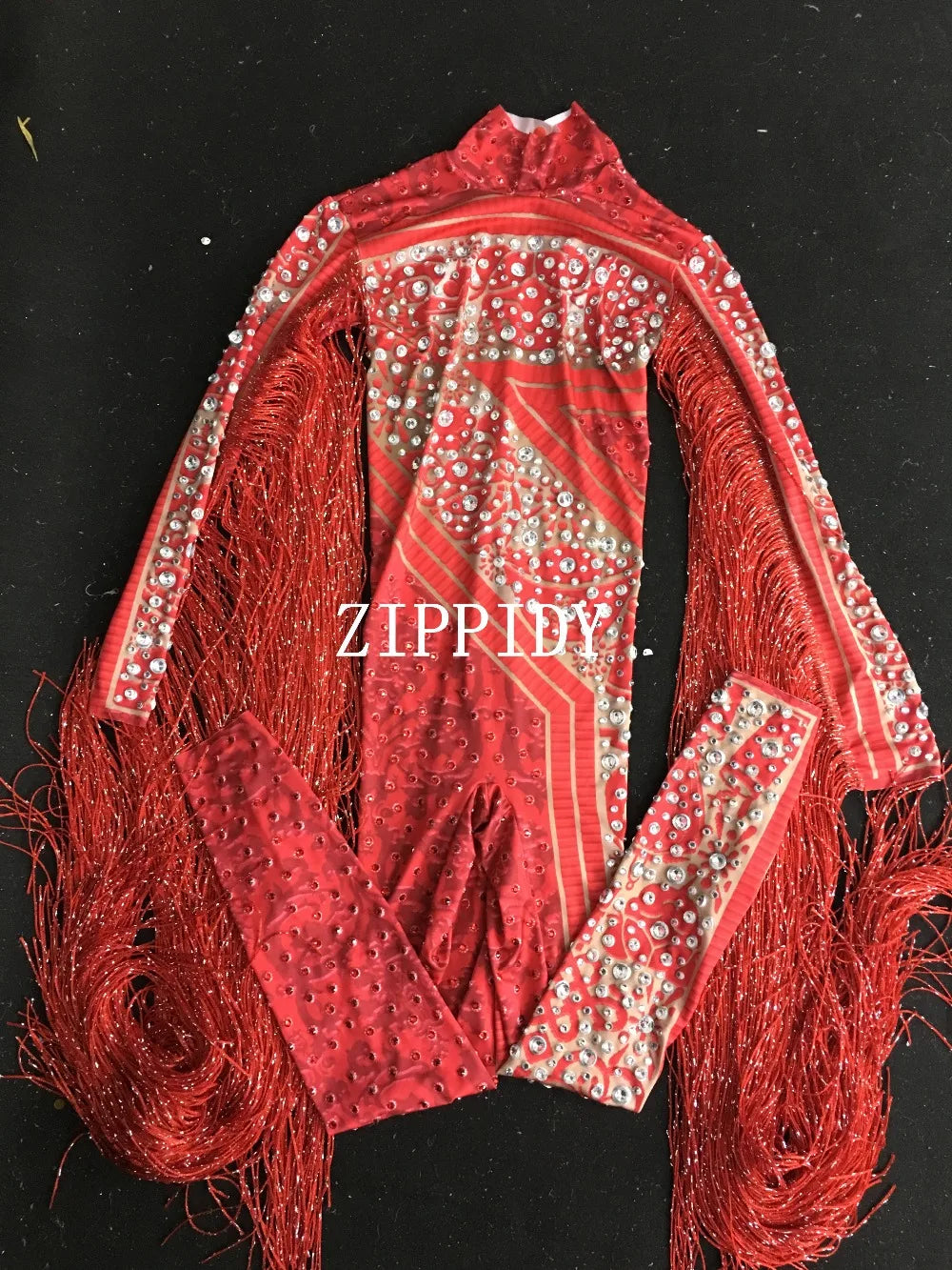 Silver Red Rhinestone Fringe Jumpsuit Stage Performance Outfit Dancer Catsuit