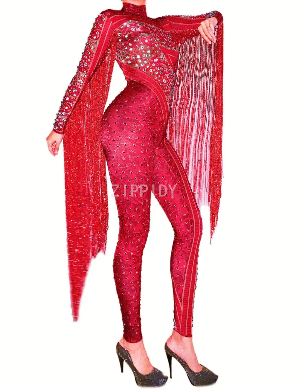 Silver Red Rhinestone Fringe Jumpsuit Stage Performance Outfit Dancer Catsuit