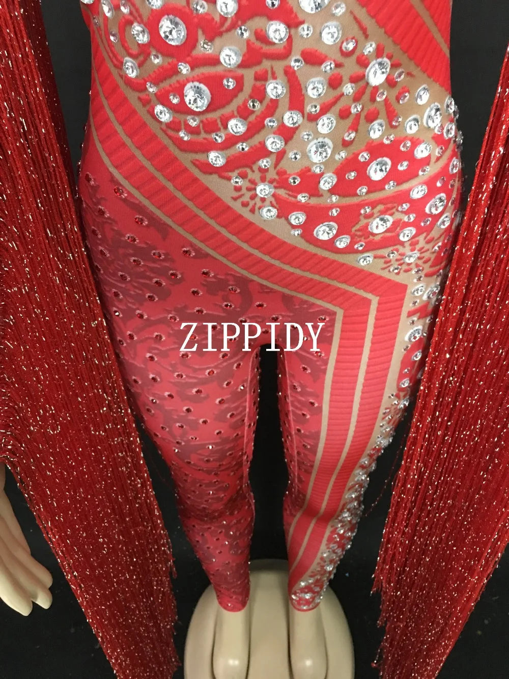 Silver Red Rhinestone Fringe Jumpsuit Stage Performance Outfit Dancer Catsuit