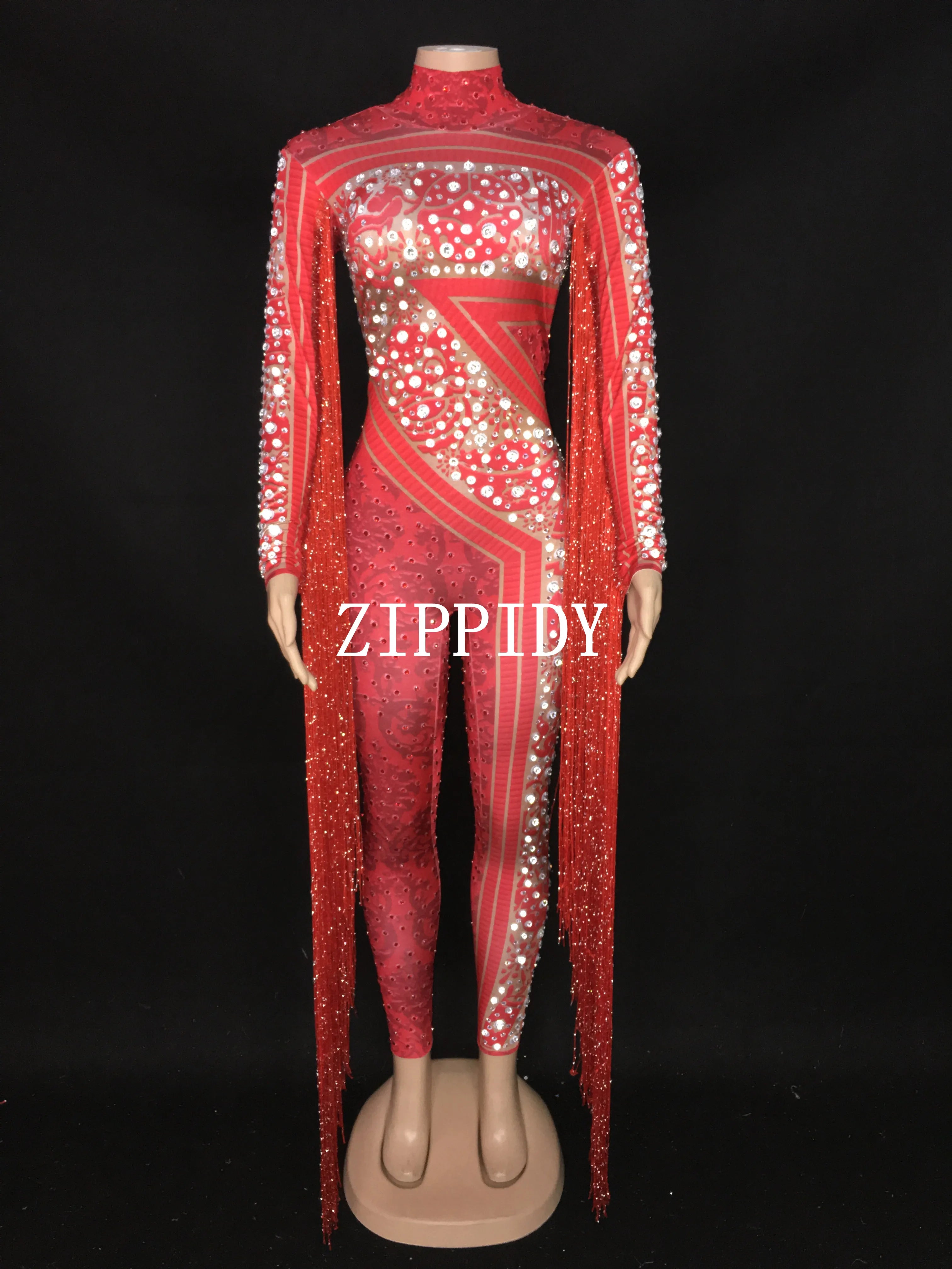 Silver Red Rhinestone Fringe Jumpsuit Stage Performance Outfit Dancer Catsuit