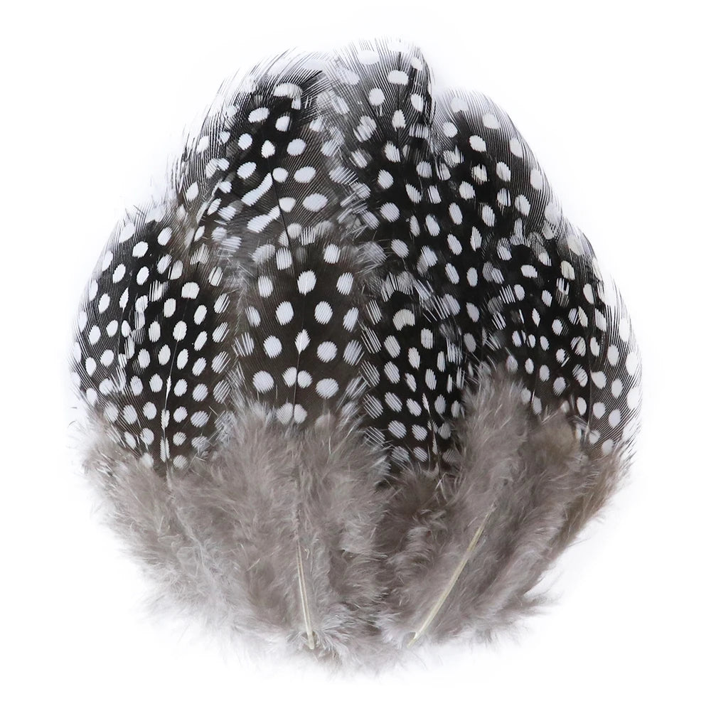 Natural Spotted Guinea Fowl Feathers 100PC