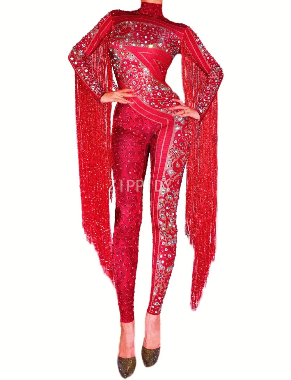 Silver Red Rhinestone Fringe Jumpsuit Stage Performance Outfit Dancer Catsuit