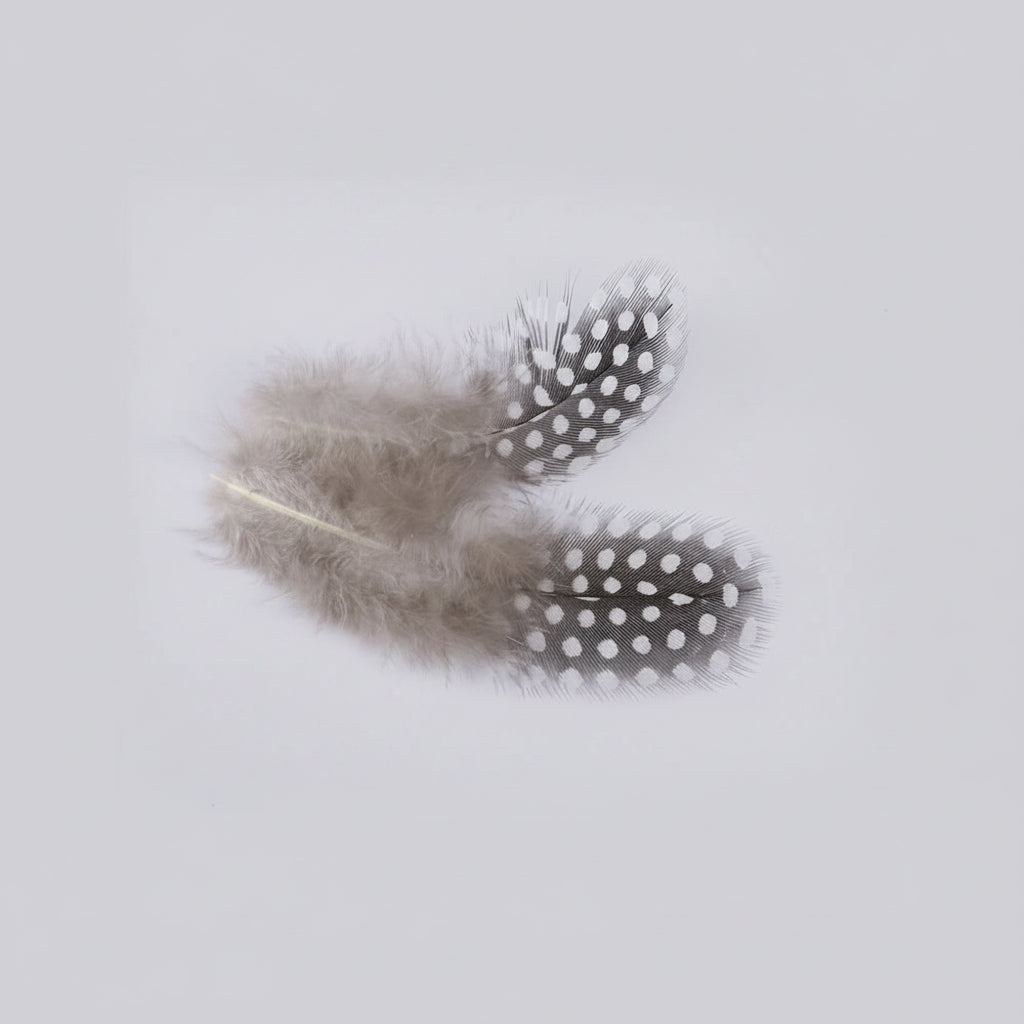 Natural Spotted Guinea Fowl Feathers 100PC