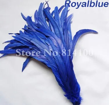 Premium Two-Tone Rooster Tail Feather Plumes (100PCS)