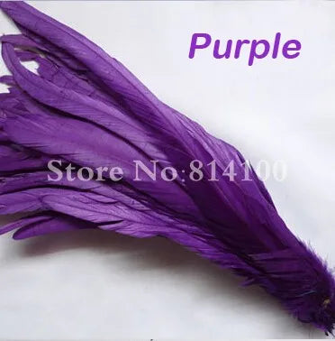 Premium Two-Tone Rooster Tail Feather Plumes (100PCS)