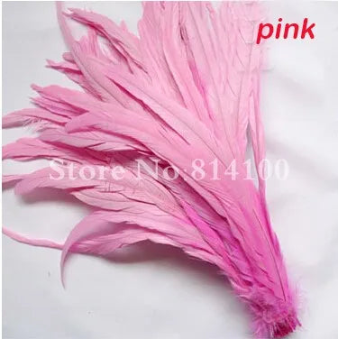 Premium Two-Tone Rooster Tail Feather Plumes (100PCS)