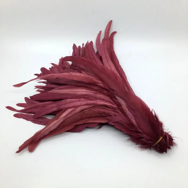 Premium Two-Tone Rooster Tail Feather Plumes (100PCS)