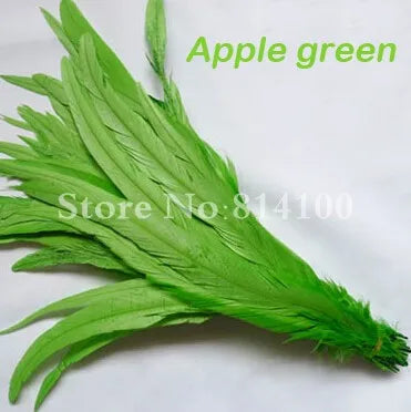 Premium Two-Tone Rooster Tail Feather Plumes (100PCS)