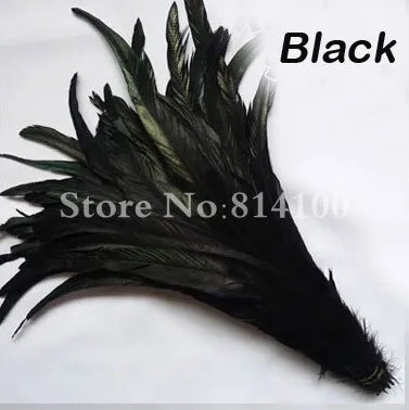 Premium Two-Tone Rooster Tail Feather Plumes (100PCS)