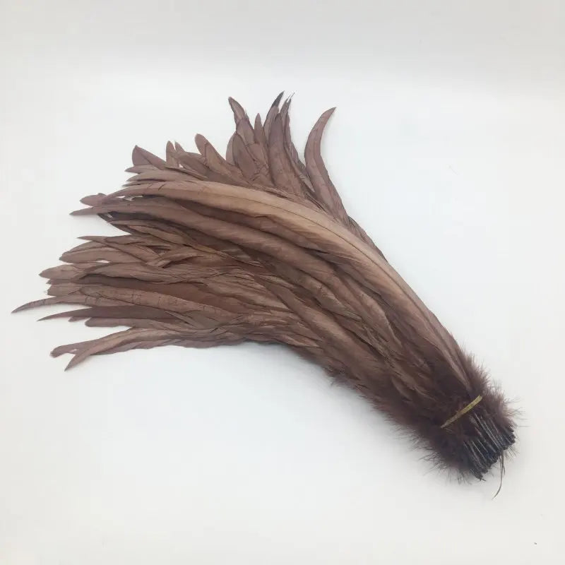 Premium Two-Tone Rooster Tail Feather Plumes (100PCS)