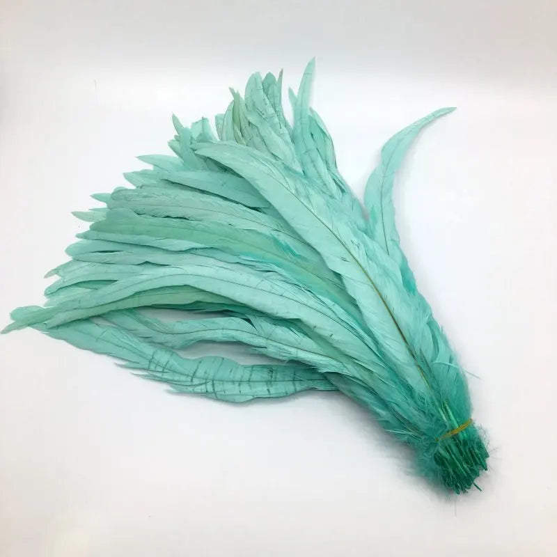 Premium Two-Tone Rooster Tail Feather Plumes (100PCS)