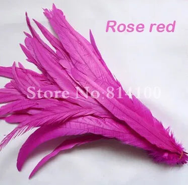 Premium Two-Tone Rooster Tail Feather Plumes (100PCS)