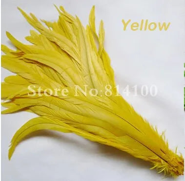 Premium Two-Tone Rooster Tail Feather Plumes (100PCS)