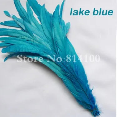 Premium Two-Tone Rooster Tail Feather Plumes (100PCS)