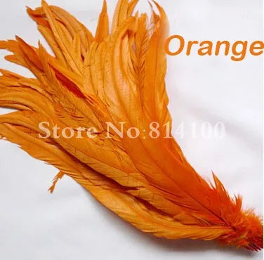 Premium Two-Tone Rooster Tail Feather Plumes (100PCS)