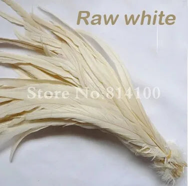 Premium Two-Tone Rooster Tail Feather Plumes (100PCS)