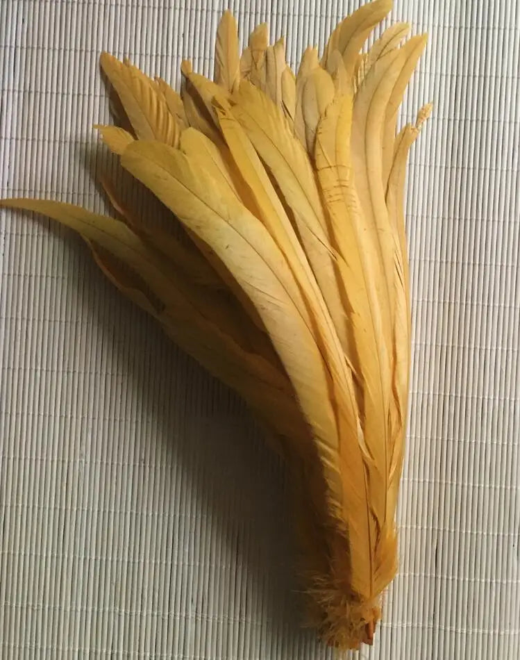 Premium Two-Tone Rooster Tail Feather Plumes (100PCS)