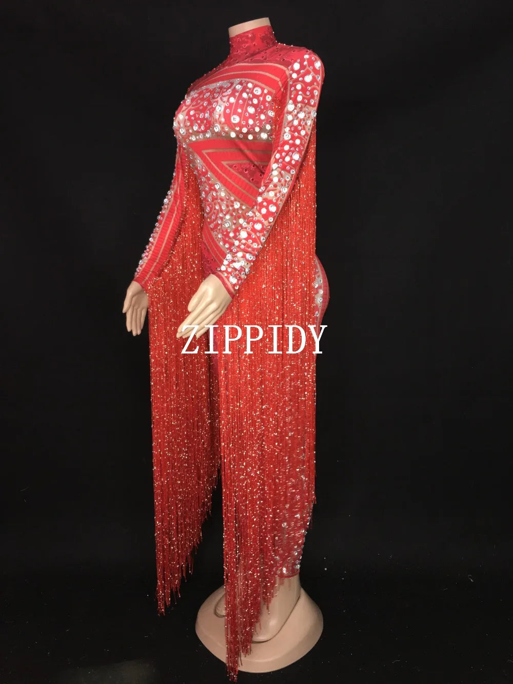 Silver Red Rhinestone Fringe Jumpsuit Stage Performance Outfit Dancer Catsuit