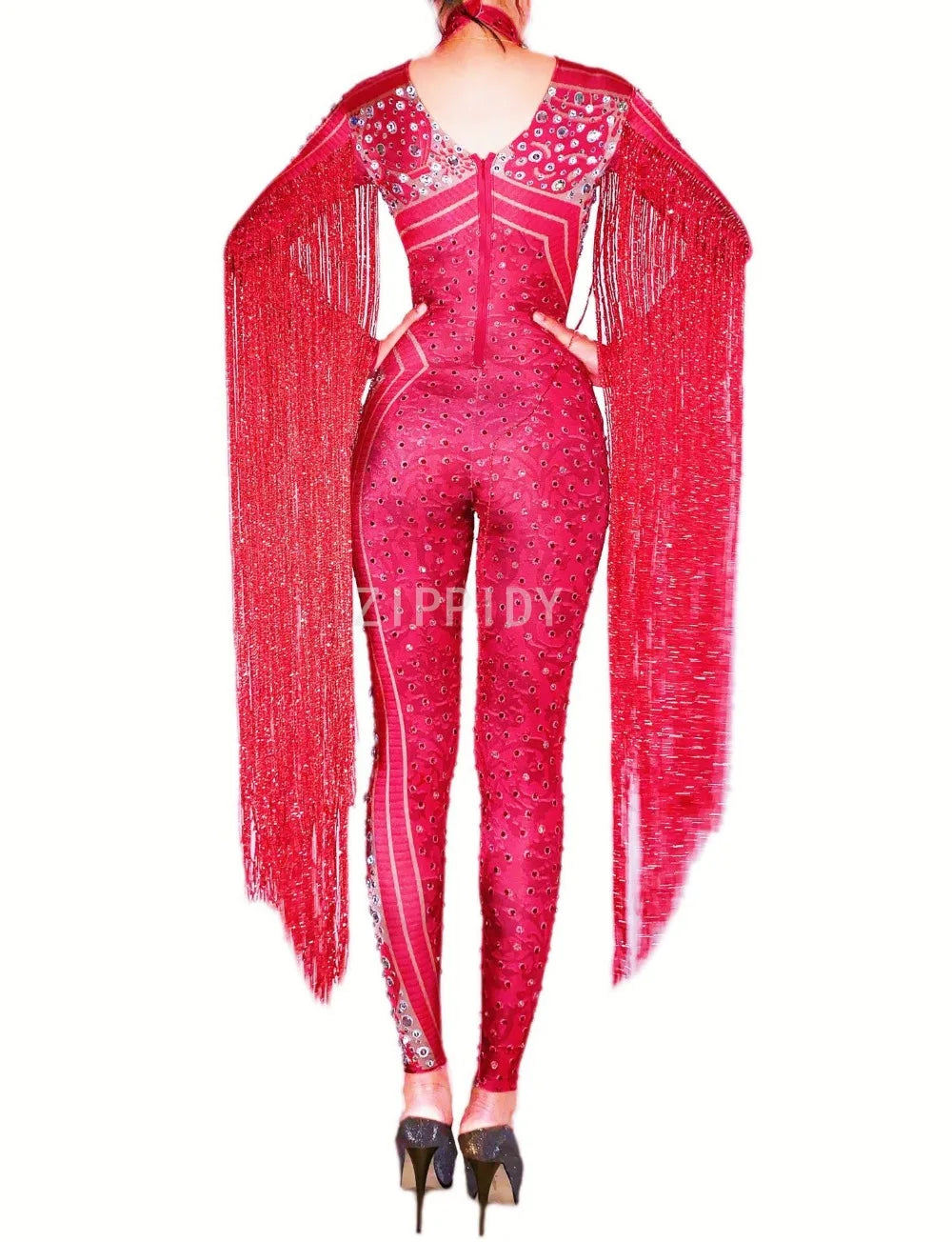 Silver Red Rhinestone Fringe Jumpsuit Stage Performance Outfit Dancer Catsuit