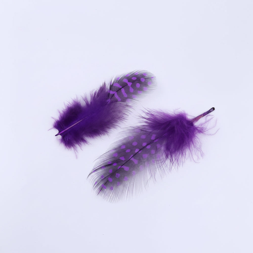Natural Spotted Guinea Fowl Feathers 100PC