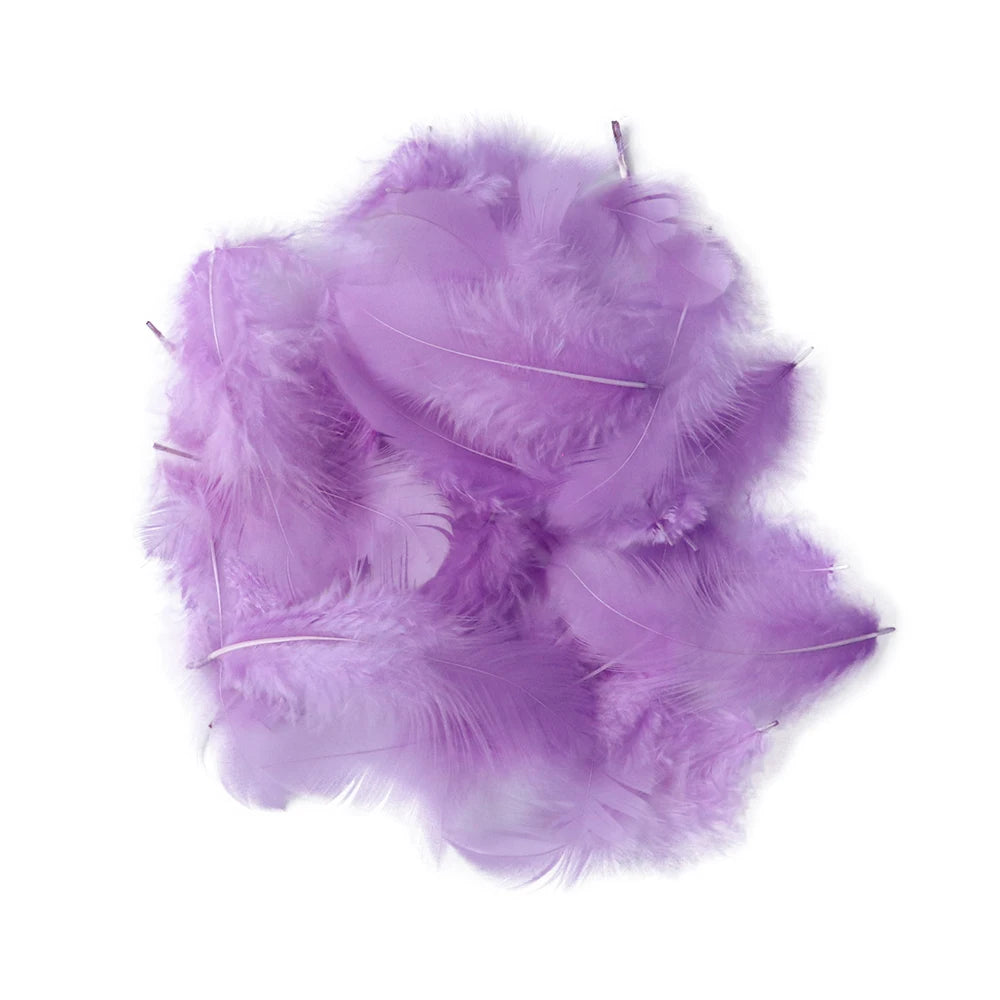 Natural Rooster Craft Feathers Bulk Lot