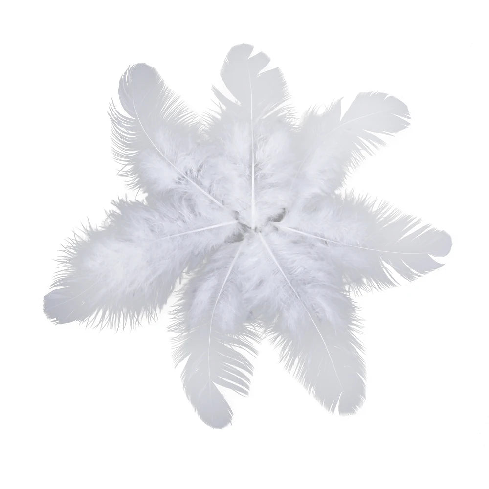 Natural Rooster Craft Feathers Bulk Lot