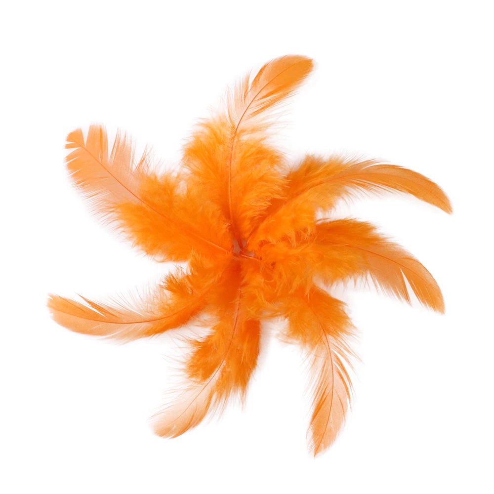 Natural Rooster Craft Feathers Bulk Lot