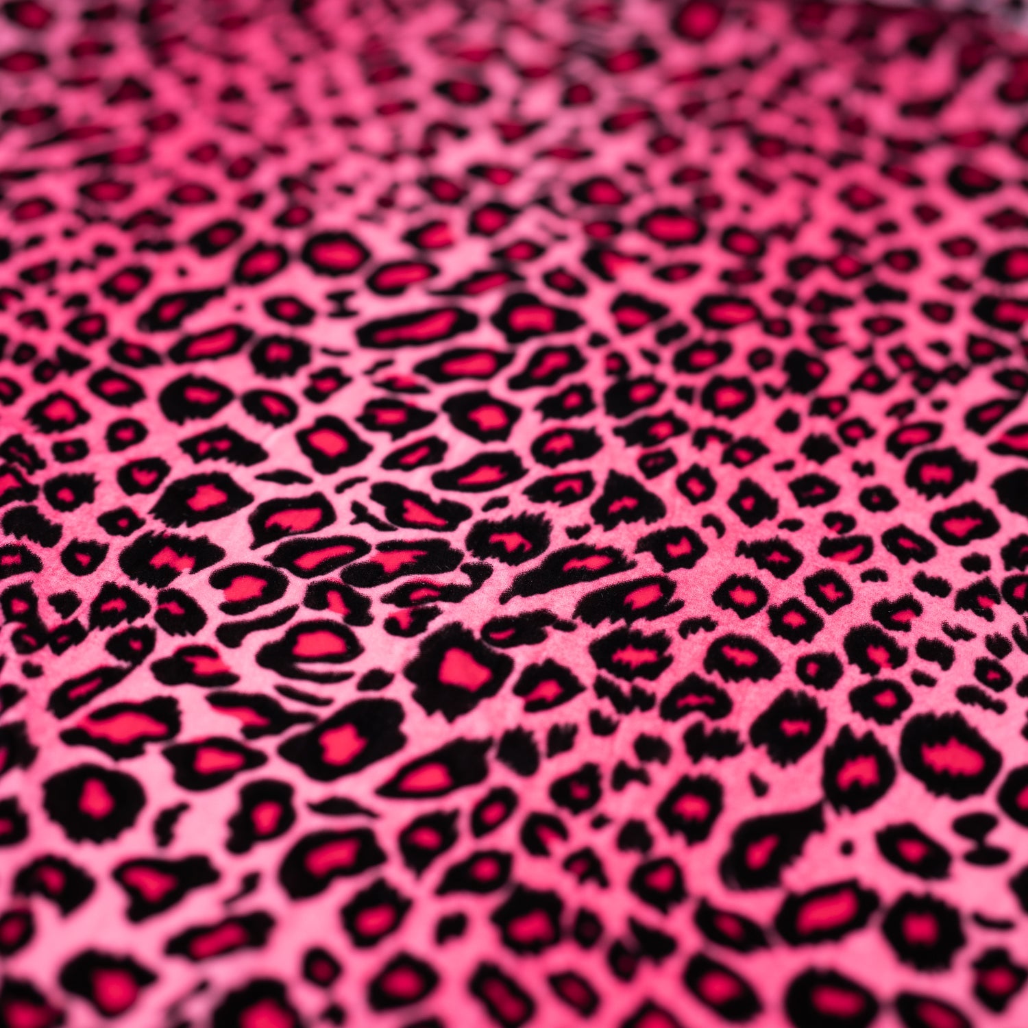 Pug Leopard Primo Stretch Velvet Fabric | Blue Moon Fabrics