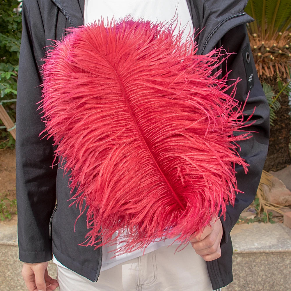 28-30IN Large Decorative Ostrich Feather Plumes