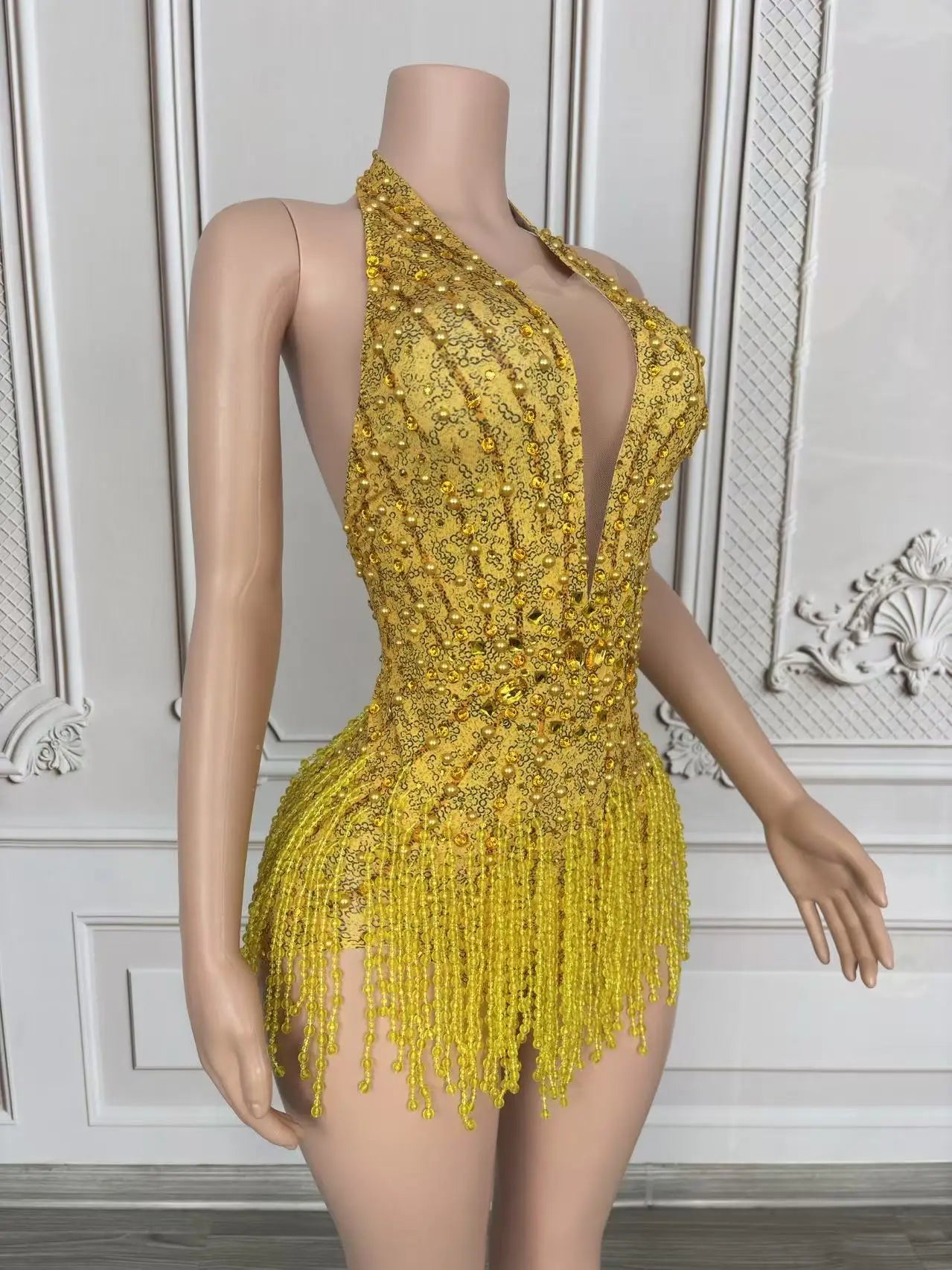 Crystal Rhinestone Fringe Sleeveless Bodysuit & Aerial Dance Leotard Costume
