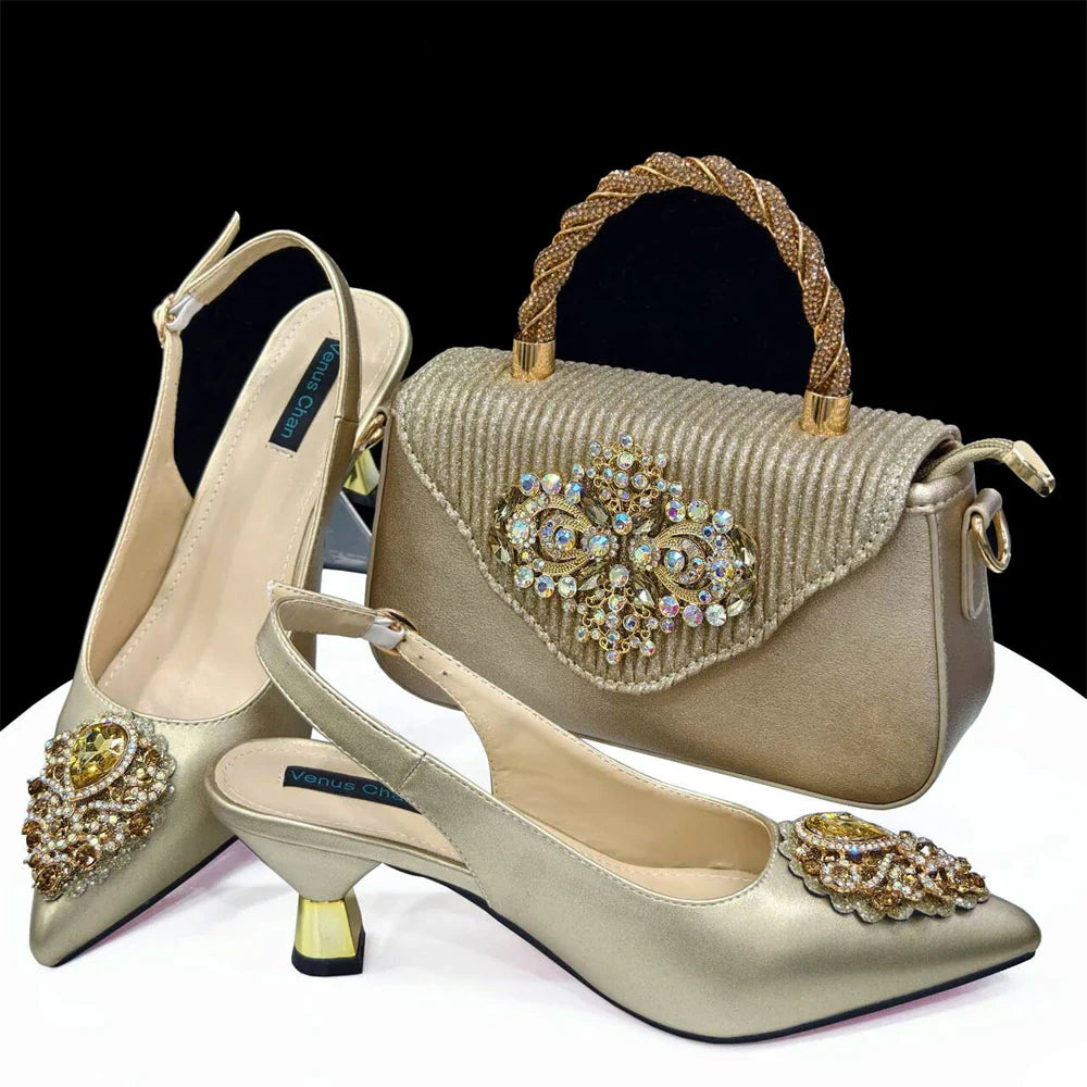 Italian Shoe and Bag Set