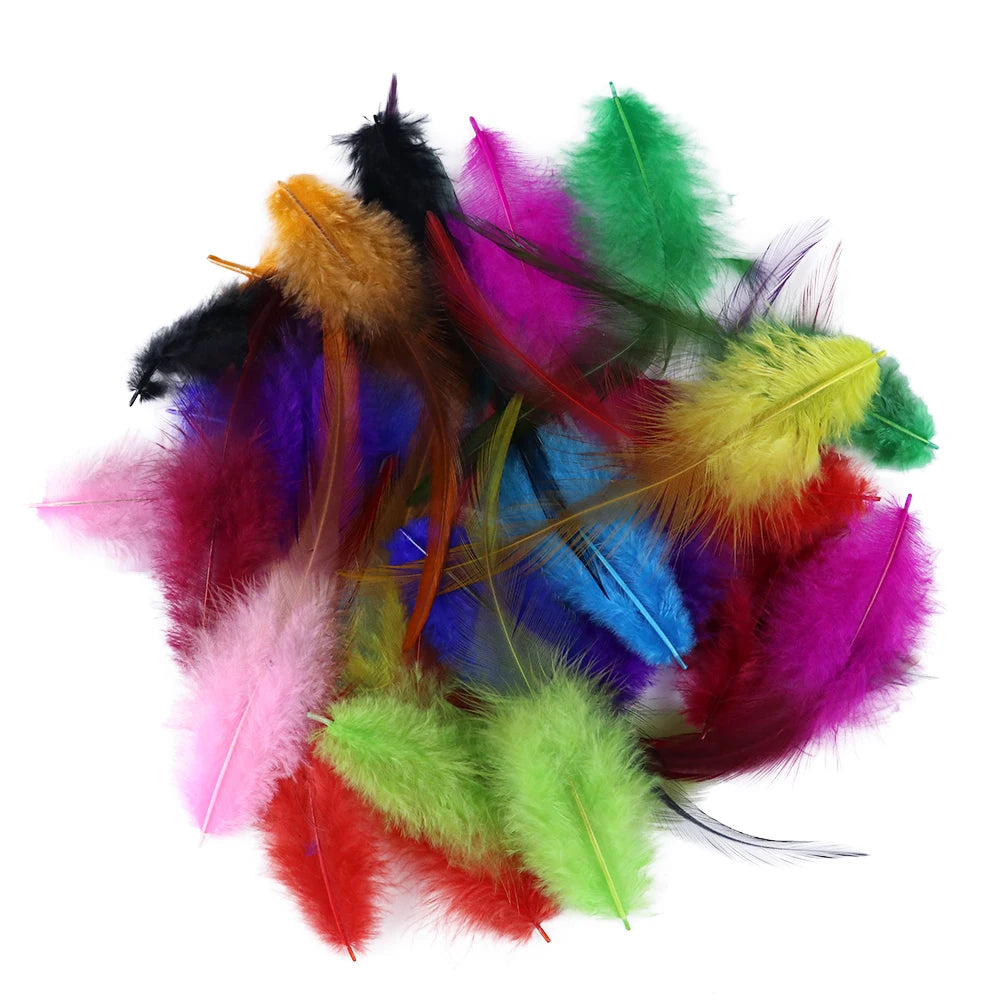 Natural Rooster Craft Feathers Bulk Pack