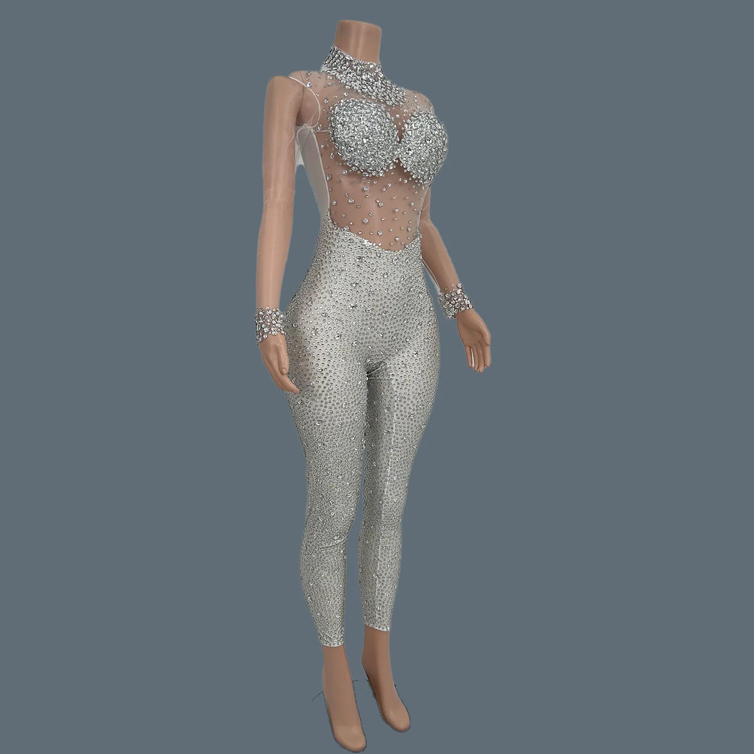 Sparkly Crystal Mesh Sheer Illusion Jumpsuit Stage Catsuit Costume