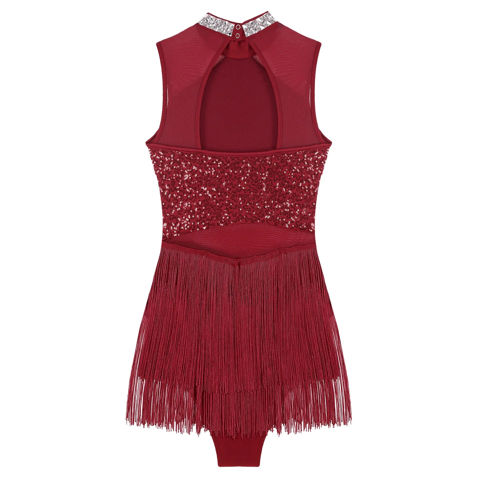 Sparkly Sequin & Fringe Dance Dress with Gloves Latin Stage Performance Costume